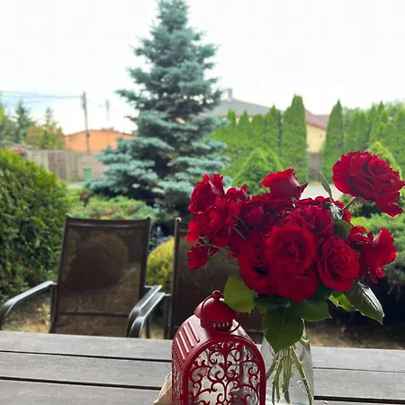 Bedrooms 3 Maja 15a * Λοτζ