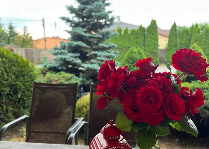 Bedrooms 3 Maja 15a * وودج